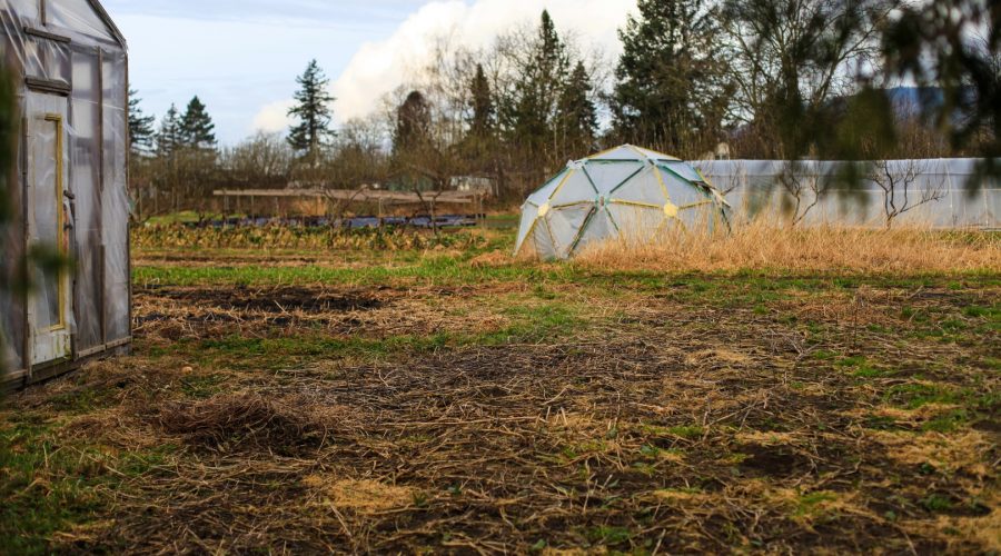 permaculture-56-yarrow-ecovillage