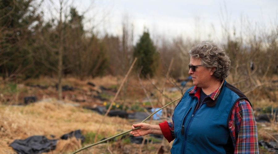 permaculture-67-yarrow-ecovillage